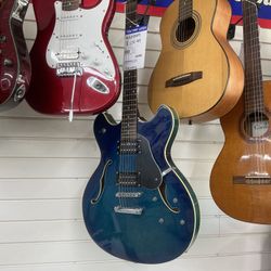 Washburn Guitar 