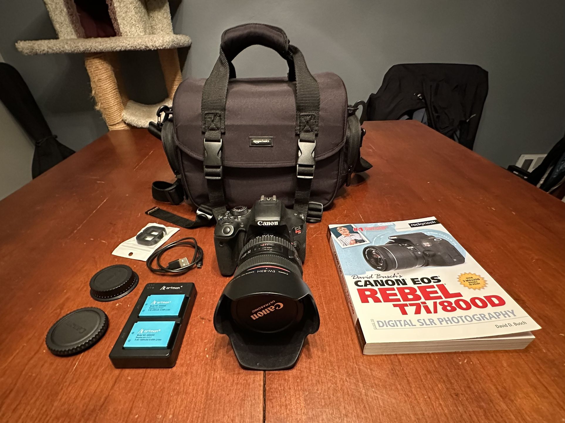 Canon Rebel T7i w/ 24-105mm f/4 L Lens