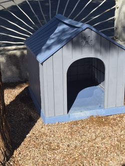 Big dog house