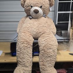 Big Teddy Bear
