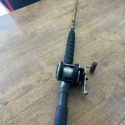 Saltwater Ugly Stick / Daiwa Fishing Rod And Reel Combo