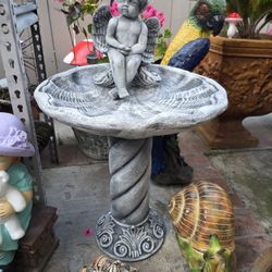 Bird Baht For Sale 