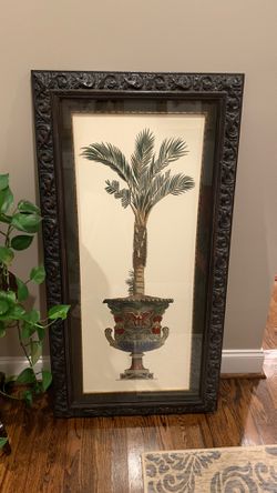 Framed palm topiaries