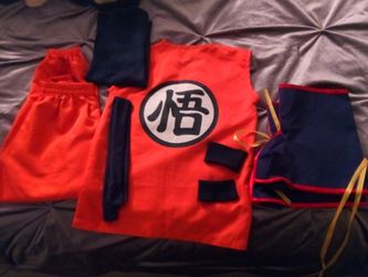 Dragon Ball Halloween costume