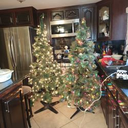 6 Feet Chritms Tree 50 Each