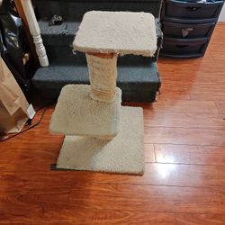 Cat Scratching Post 