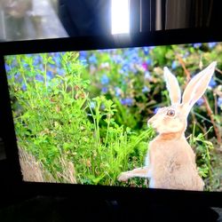 40 Inch TOSHIBA Tv