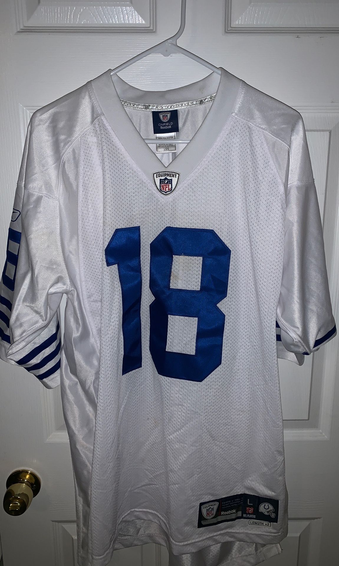 NFL Cults Large Jersey
