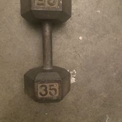 35 Lb Weights 