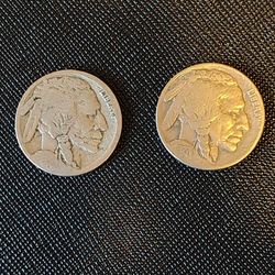 Buffalo Head Nickels 