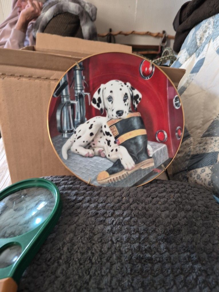 This Is A Collection Plate. Bought In The Act The Year 1993