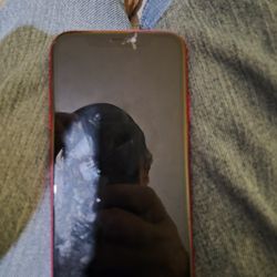 Red IPhone XR 