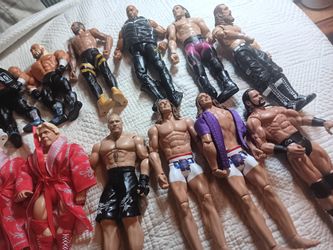 WWE Action Figure 