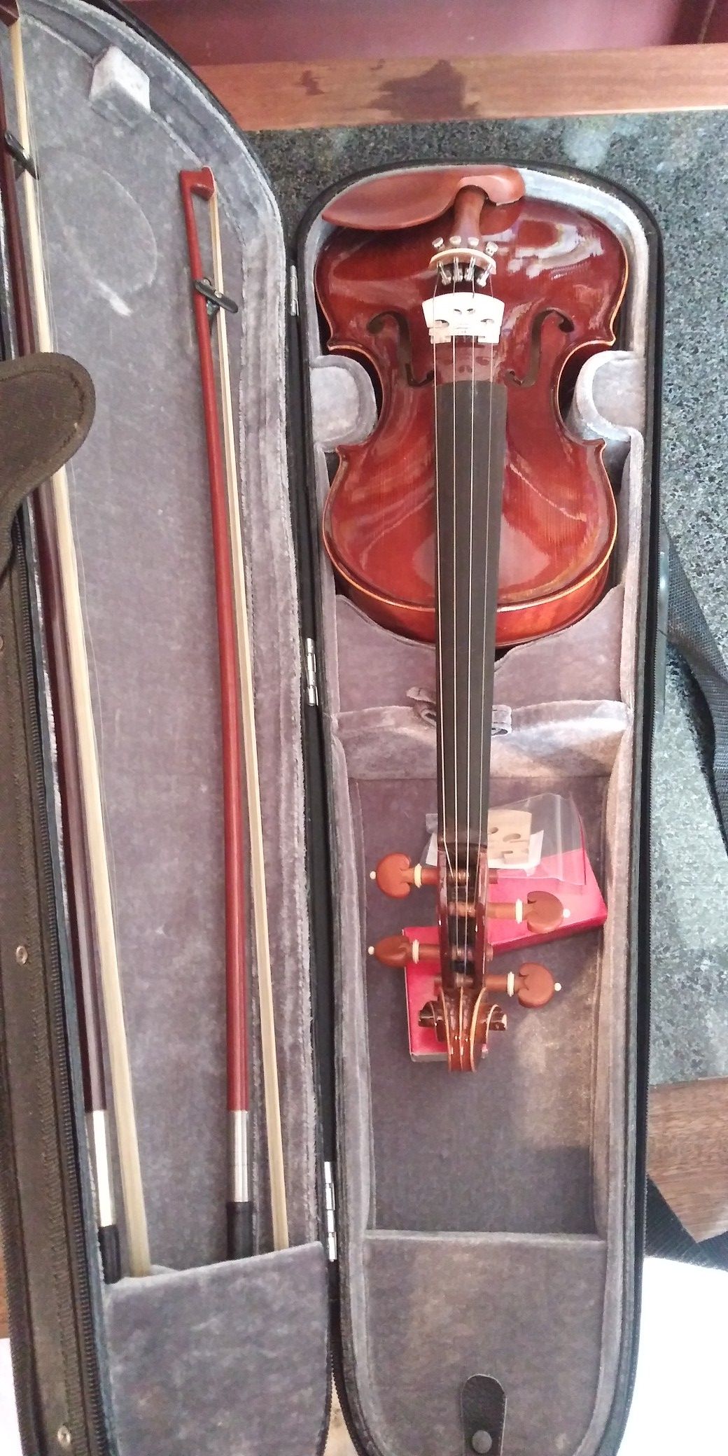 Beautiful Left-Handed Violin