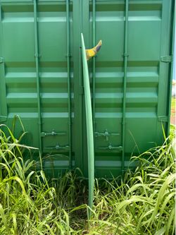 7’6” Surfboard Midlength