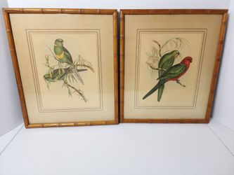 ​Vintage John Gould Parrot Prints Pair - Faux Bamboo Framed Birds of Australia Wall Art 14x11