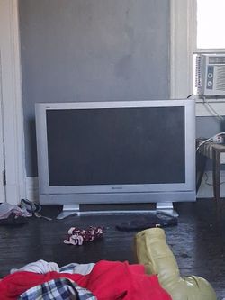 Panasonic Viera Flat Screen TV
