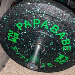 25lb Bumper Plates Only 