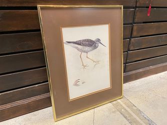 Sandpiper Art Print