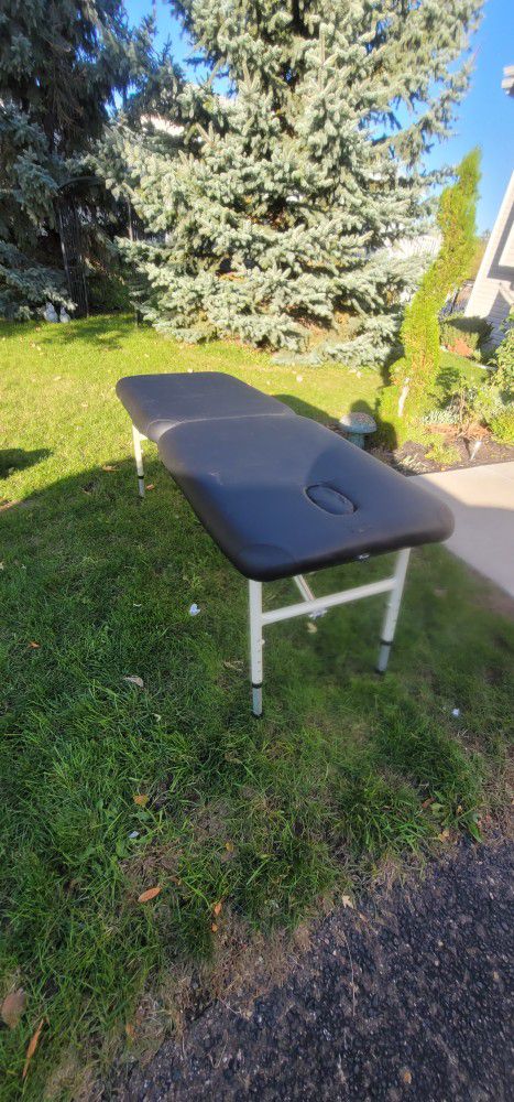 Massage Therapy Table 