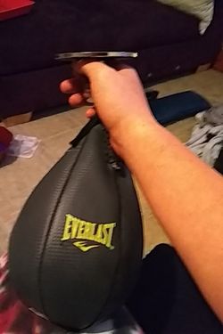 Everlast punching bag