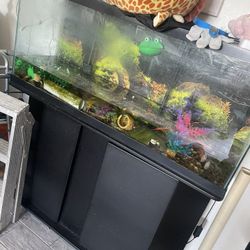 Fish Tanks For Sale