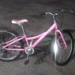 Trek 220 Mountain Bike Ready To Ride TREK QUALITY 💯