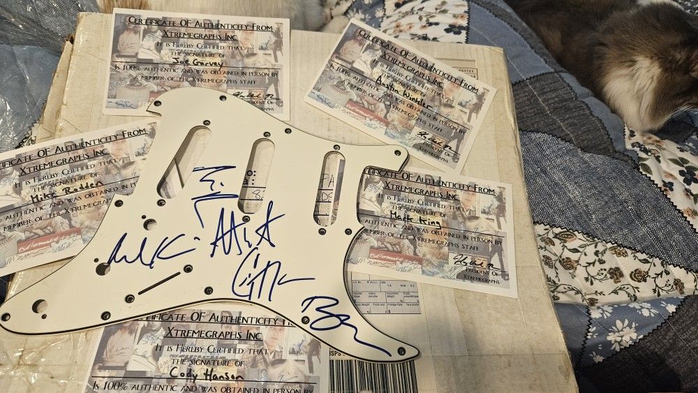 Autographed By Hinder Band Guitar Gaurd.