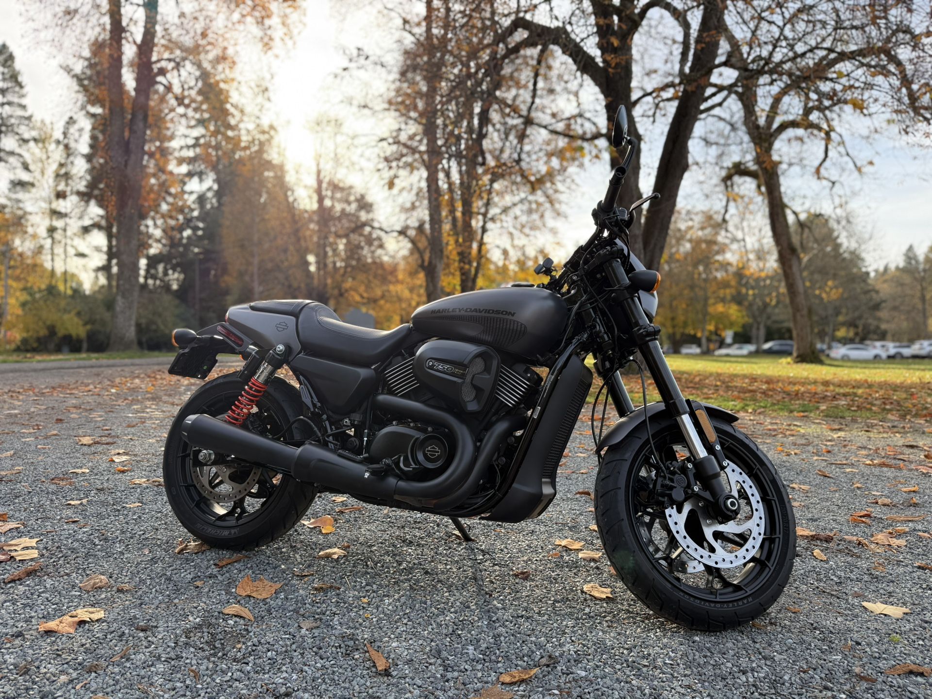 2017 Harley-Davidson Street Rod 750