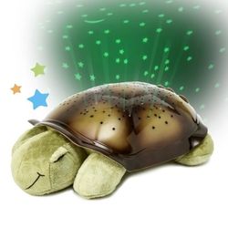 Turtle 🐢 Star Light