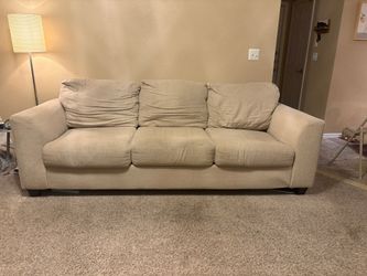 Sleeper Sofa - FREE