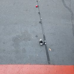 Fishing Pole With Reel
