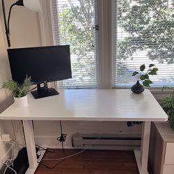 FlexiSpot White Standing Desk