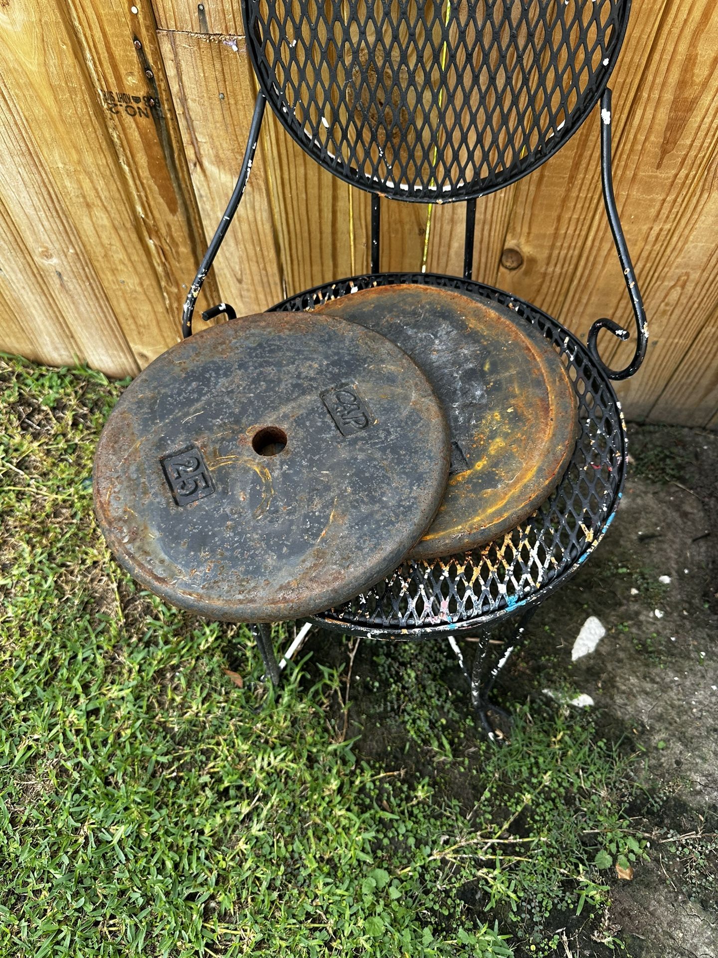 Plate Weights Of 25lb