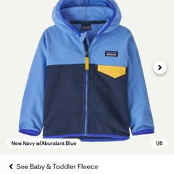 Patagonia Baby Micro D Snap-T Fleece Jacket