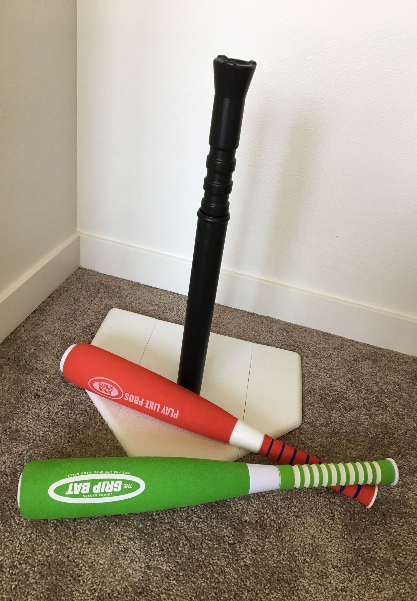 Baseball bats and board