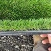 Turf Nirvana