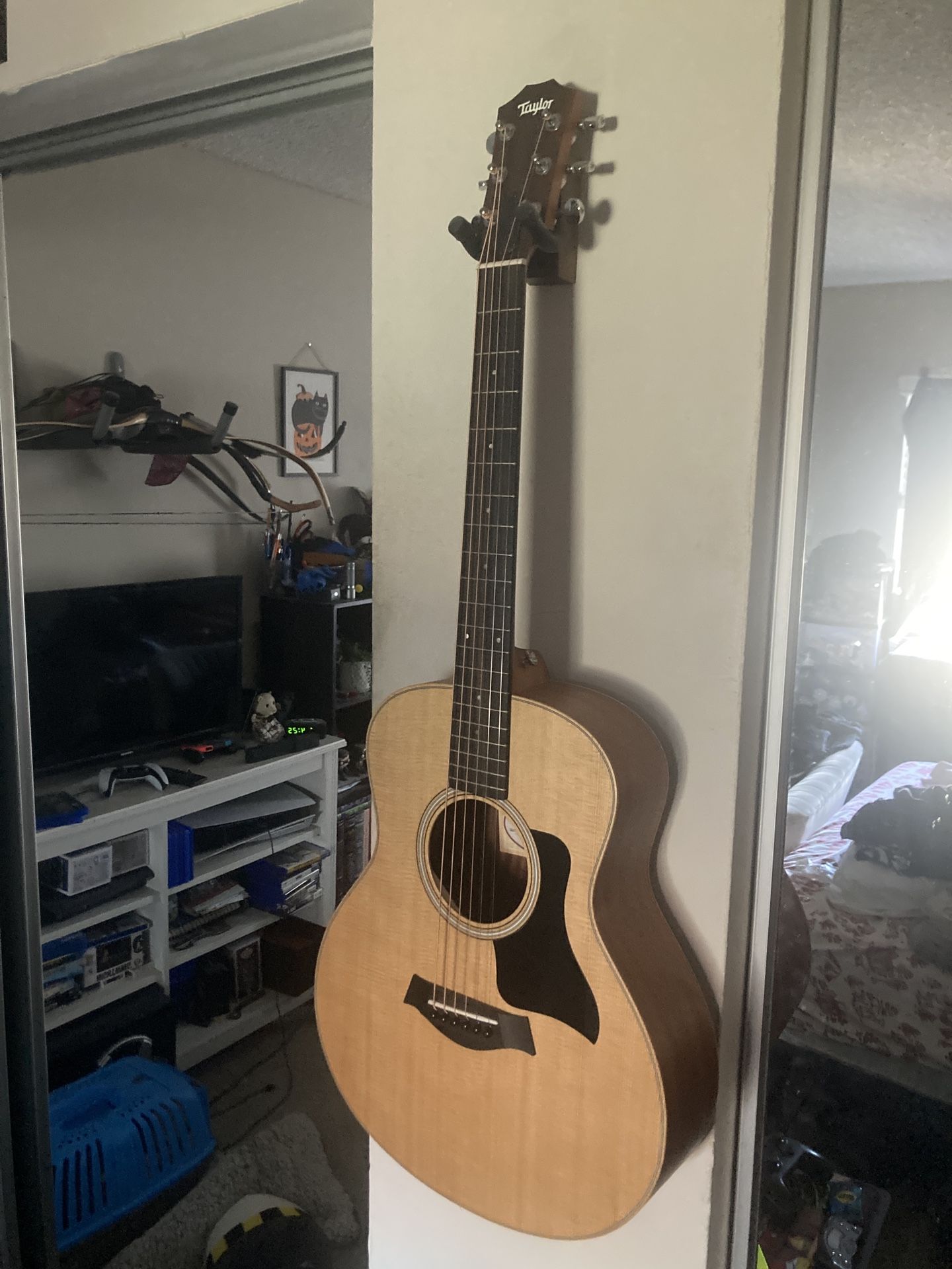 Taylor GS Mini