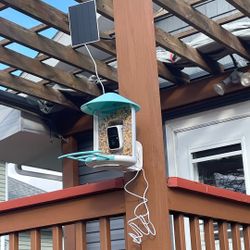 New Smart Bird Feeder With Camera
