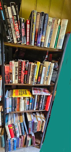 Male Author Books - $1.00/ea