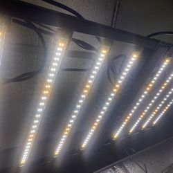 Growers Choice ROI 200 LED