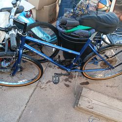 Woman's happy bicycle