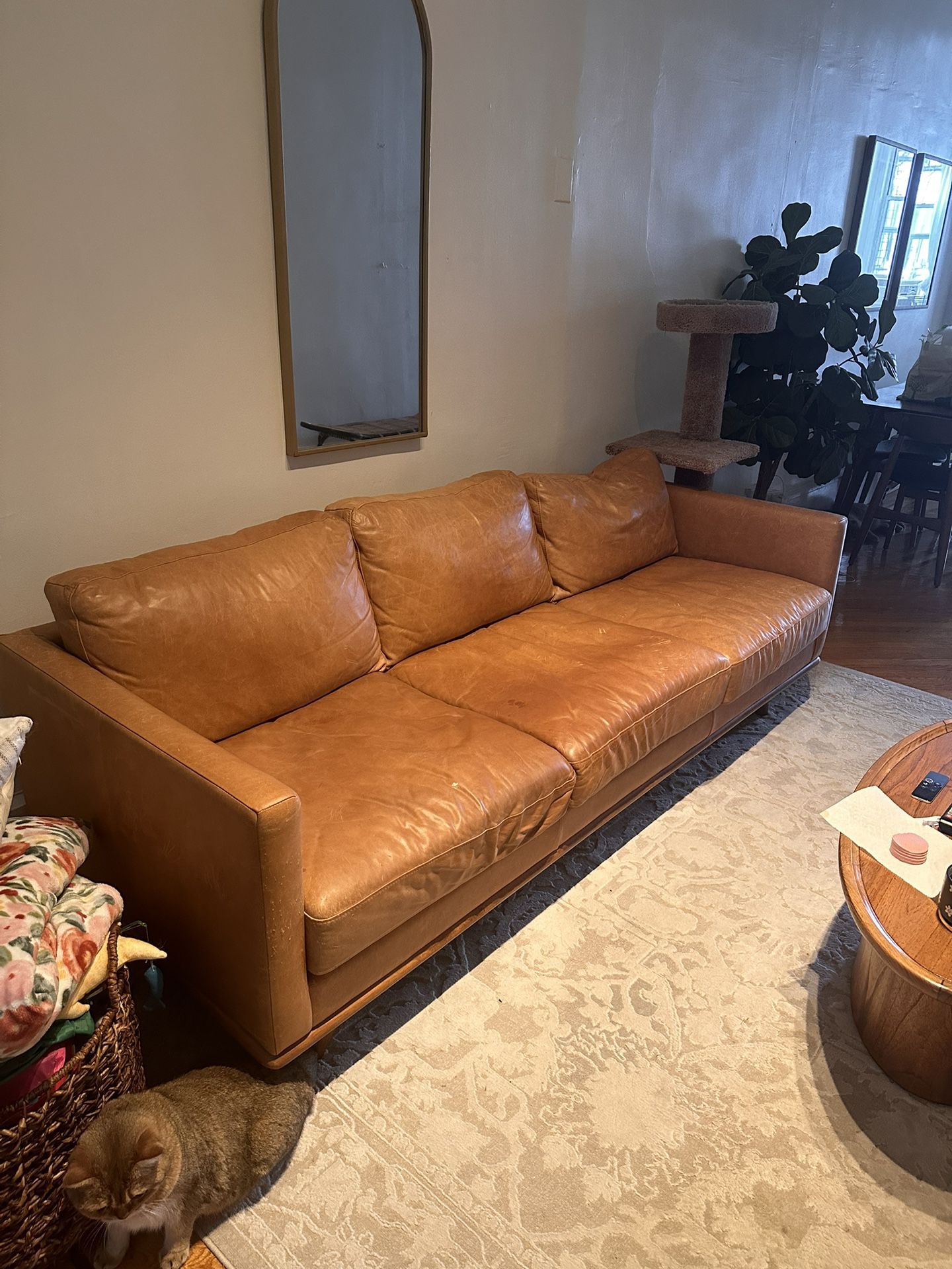 Poly And Bark Nolita Sofa