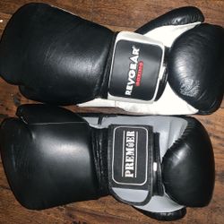 12 Oz Boxing Gloves 