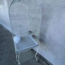 Big Birds Cage 