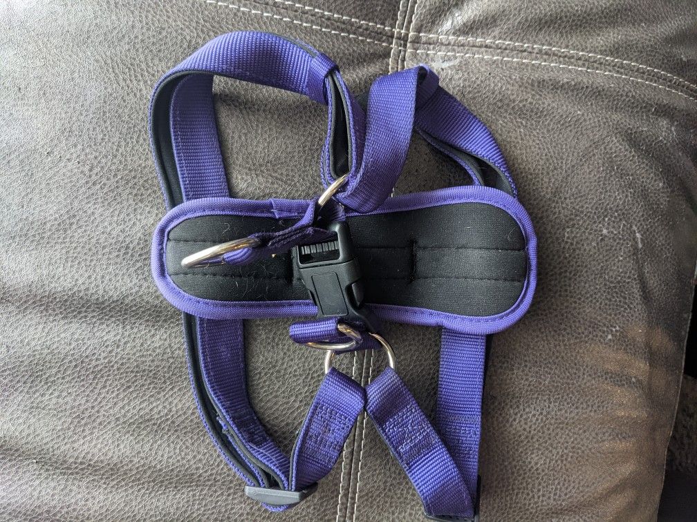 Medium Dog Harness