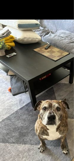 Black larger coffee  table