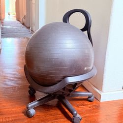 Gaiam Balance Ball Chair