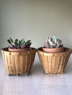 Pair of Vintage Boho Wicker Plant Holders / Basket 