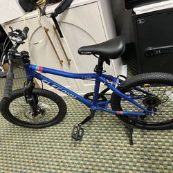 Kids' Bicycles 20 inch Kids Mountain Bike for Ages 8-12